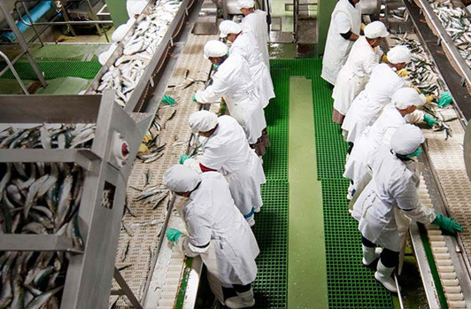 lucky star sustainable fishing factory